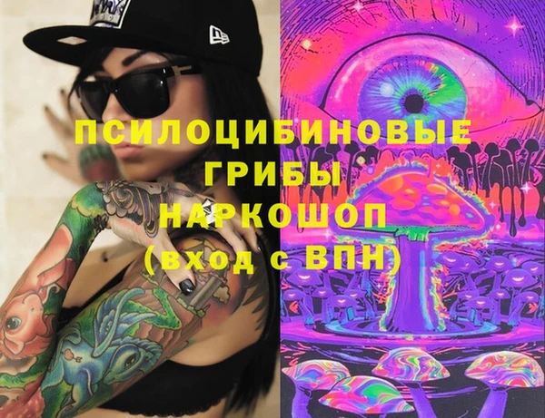 шишки Тольятти