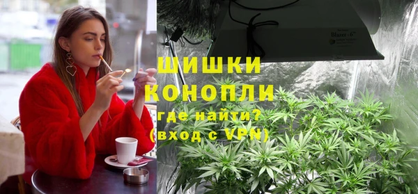 ешки Мегион