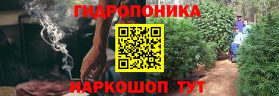 дживик Гай