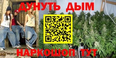 дживик Гай