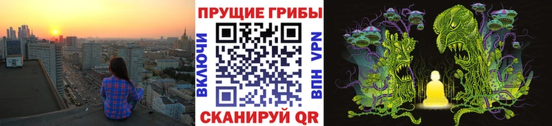 Галлюциногенные грибы прущие грибы  Приморско-Ахтарск 