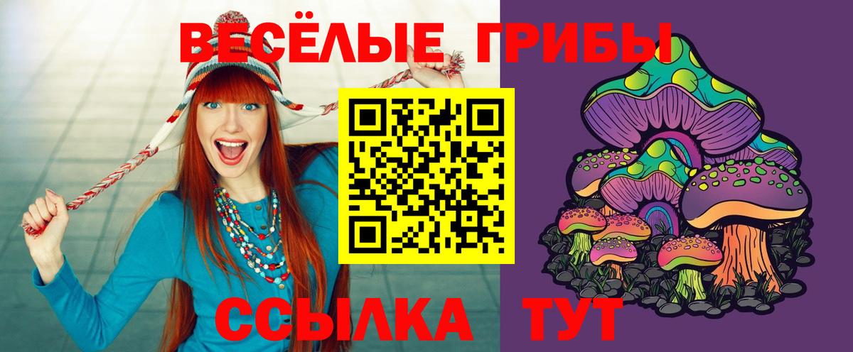 Галлюциногенные грибы Magic Shrooms  Приморско-Ахтарск  Псилоцибиновые грибы Cubensis 