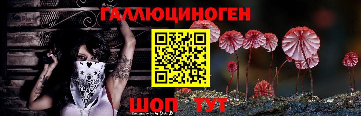 Псилоцибиновые грибы мухоморы Приморско-Ахтарск